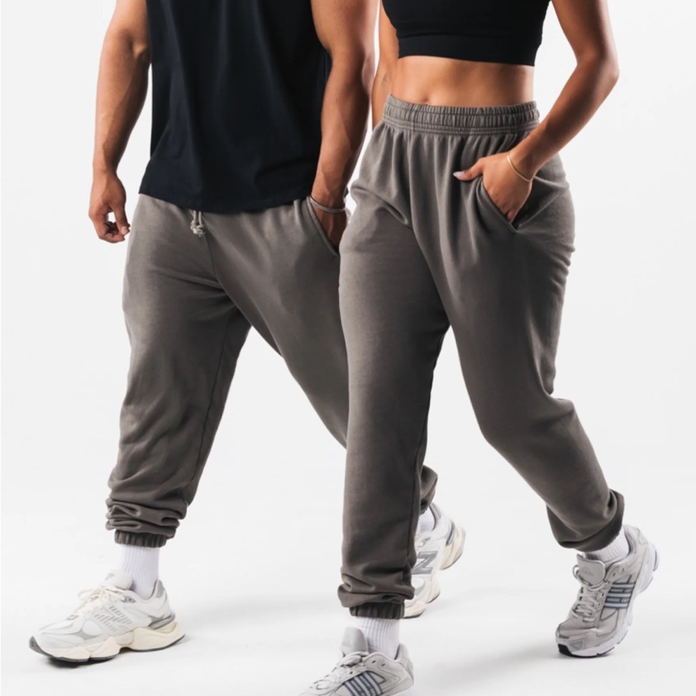 Brand new -Alphalete Earth Dye Natural Joggers-Iron